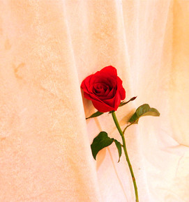 厉害!曼联首次杀入英超前四 让红魔阿森纳切尔西刮目相看-太阳成集团tyc7111cc(图2) 太阳成集团tyc7111cc