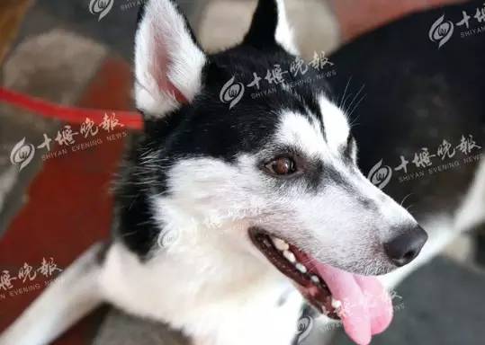 太阳成集团tyc7111cc