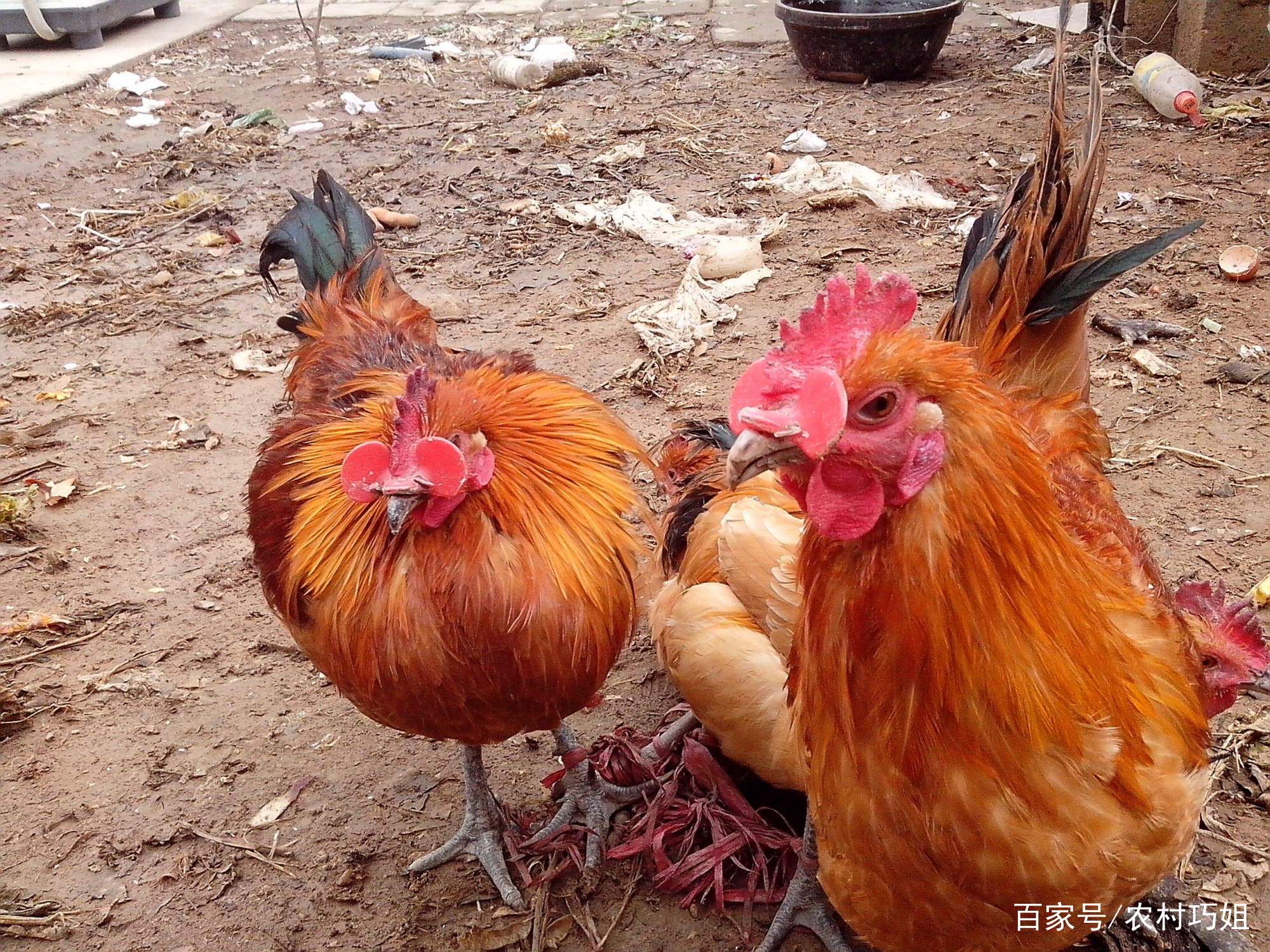 太阳成集团tyc7111cc