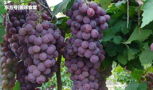 爱音乐联手《夏洛特烦恼》票房冲冠 成走心神曲|太阳成集团tyc7111cc(图3) 太阳成集团tyc7111cc