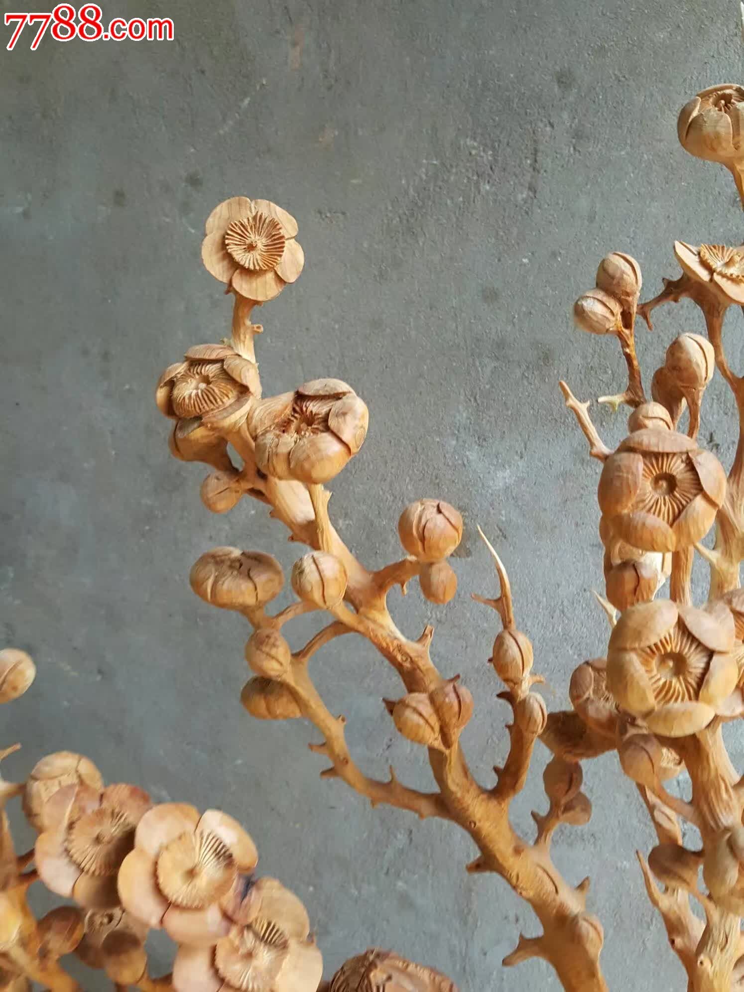 太阳成集团tyc7111cc