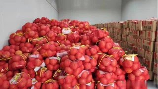 太阳成集团tyc7111cc