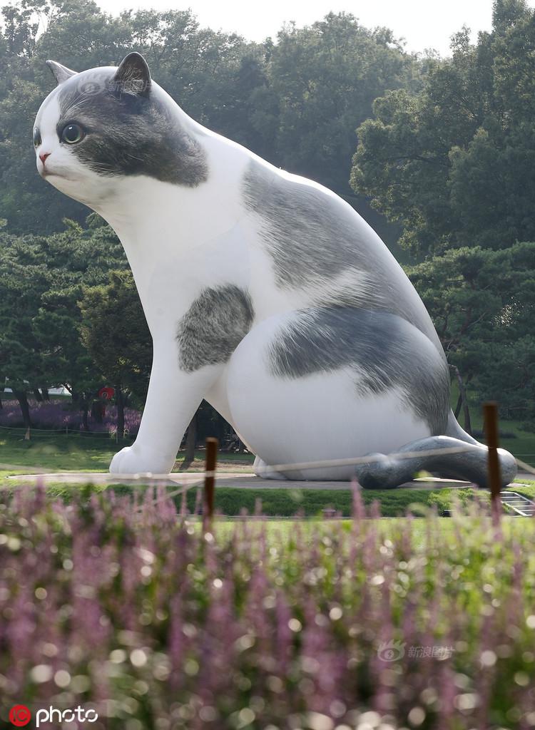 太阳成集团tyc7111cc