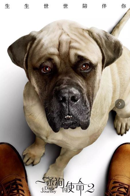 太阳成集团tyc7111cc