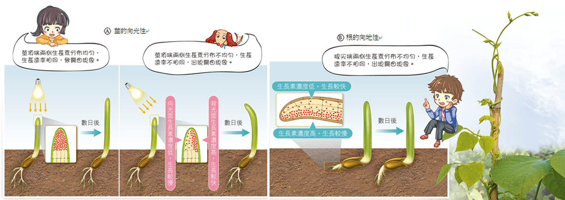 太阳成集团tyc7111cc