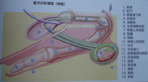 黄了?曝枪手将削减工资总额 埃梅里重建梦落空-太阳成集团tyc7111cc(图2) 太阳成集团tyc7111cc