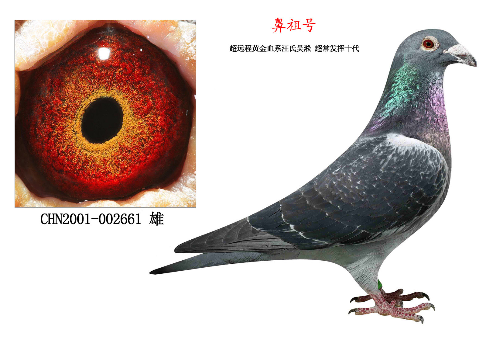 太阳成集团tyc7111cc|塞维利亚高层谈对阵皇马:这将是两场艰辛的竞赛(图2) 太阳成集团tyc7111cc