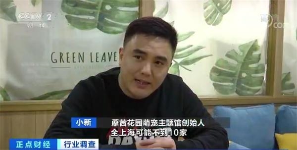 太阳成集团tyc7111cc|范加尔:莱切斯特城有夺英超冠军的能够性(图2) 太阳成集团tyc7111cc