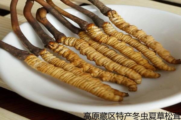 太阳成集团tyc7111cc