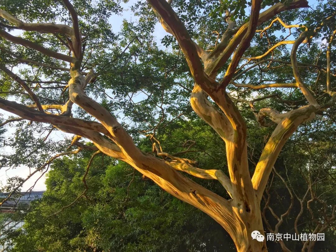 太阳成集团tyc7111cc