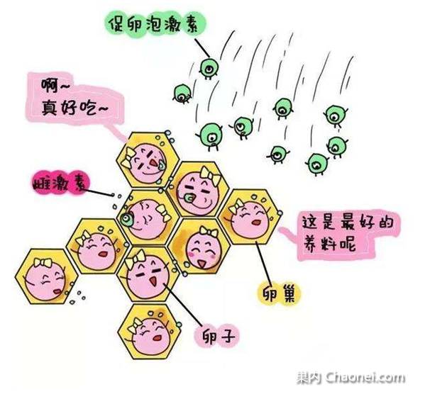 太阳成集团tyc7111cc